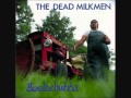The Dead Milkmen - RC's Mom