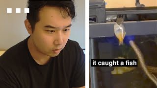 SNAKE in my Fish Tank (NOT A PET) | Fish Tank Review 272