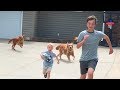 Drive by Dunk Challenge (Chased by dogs) | That's Amazing