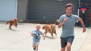 Drive by Dunk Challenge (Chased by dogs) | That's Amazing