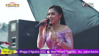 Download lagu Cinta Rahasia - Anna Rista | New Pallapa TPI Mojo Pemalang 2022 mp3