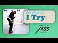 Kirk Whalum - I Try (Official Visualizer/Smooth Jazz Vineyard)