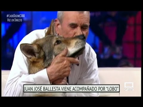 El niño lobo de Sierra Morena, Marcos Rodríguez Pantoja - El Lado Bueno de las Cosas