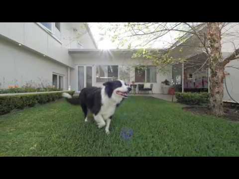 47 Union Street, Clayfield