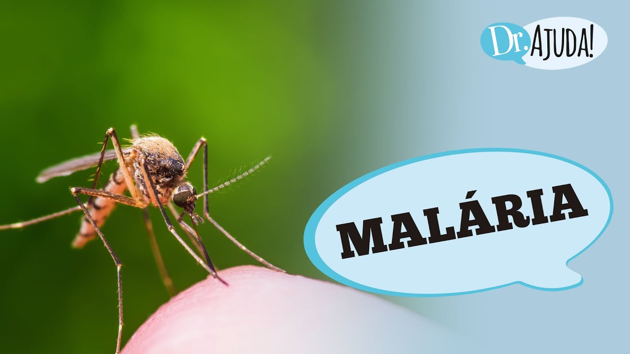 MALÁRIA : O QUE É ? SINTOMAS E COMO EVITAR ?