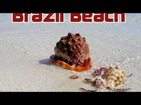 Ilan Kriger feat Alexandre Nero - Samba De Velho