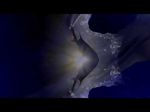Youtube Video 9LhveahdOVI