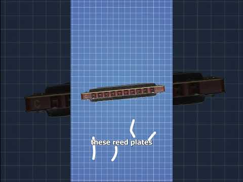 How A Harmonica Works 🤔