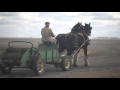 Video Thumbnail for Training Champions In Rouleau
