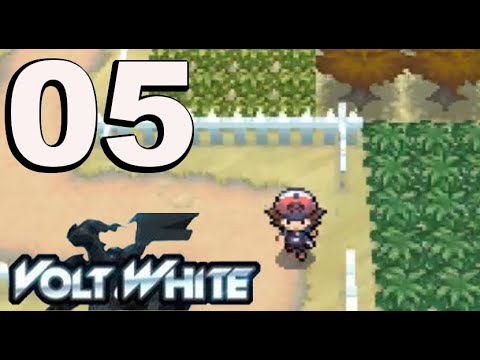Pokemon Volt White Nuzlocke: Part 5 - Route 3