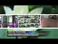 Medicina tradicional