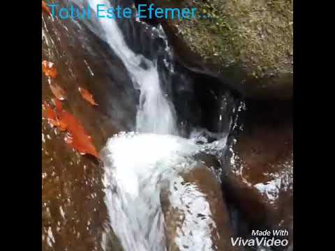 ...PICĂTURI DIN SUFLET...