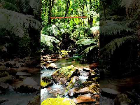 Pedalar no meio do mato é recarregar a alma. União da Vitória PR/ # trilha