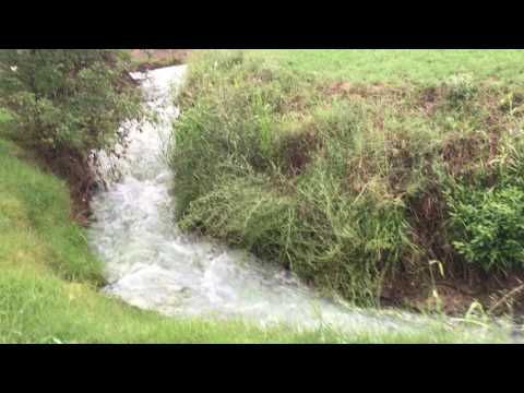 Stream running from the sulphur springs
