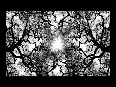 Co to jest prawo naturalne (prof.  Hartman)