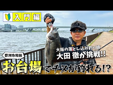 お台場近くの豊洲市場!!目の前でクロダイがいるって聞いて釣ってみた【東京湾落とし込み】【チヌ前打ち】