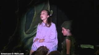 Distant Melody- Peter Pan