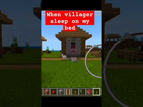 Villager Sleeps in My Bed?! 🎮🛌 #Minecraft