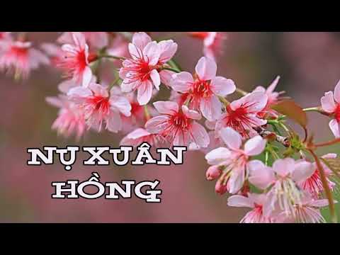 Thể hiện bởi Lệ Thu (trước 75)