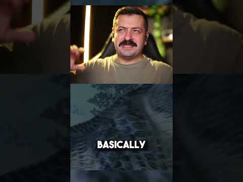 Total War Warhammer 2 Review // Is It Worth It?!