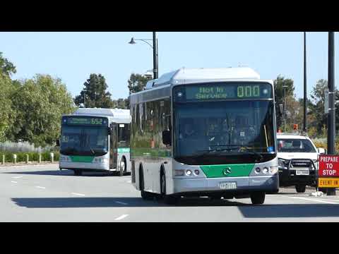 Transperth 103 & 1421 @ Roger Mackay Drive,Burswood