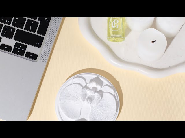 أوركيد | B7 Orchid