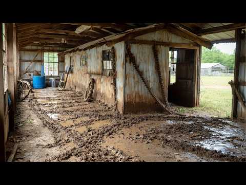 Man Turns Old Garage Into His Dream Workshop | Start to Finish by @DailyBergstrom