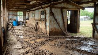 爆改废旧车库成最帅工作室 | 惊人蜕变全过程 by @DailyBergstrom