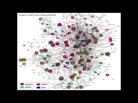 Death 2 Pathways_pt1_Introduction on cell signaling networks and correlations