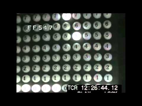 Sylvain LASCO - Stand By My Window (Official)