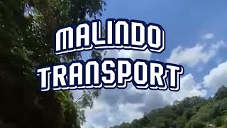 Download lagu LAGU MURUT🔴MALINDO TRANSPORT🔵MANROY mp3 Download lagu LAGU MURUT🔴MALINDO TRANSPORT🔵MANROY mp3