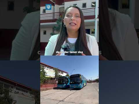 Motivación, autoestima y confianza: La base del triunfo en Simce de colegio vulnerable de La Florida