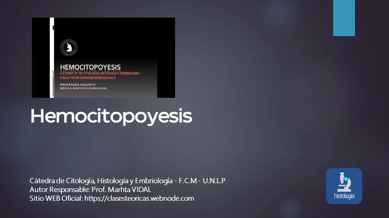 HEMOCITOPOYESIS