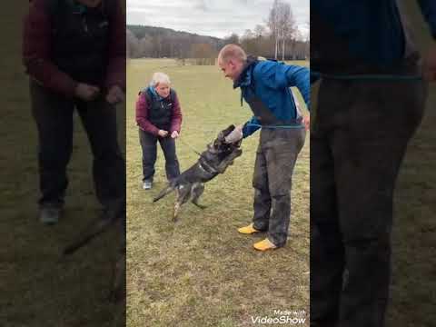 Laurren Orrylordblack 4.Months-Protection 3/2021