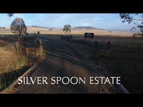 Silver Spoon Estate