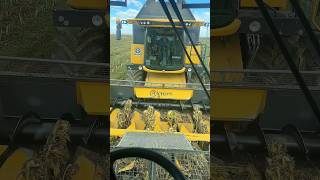 Download lagu The combine harvesters collided with each other upon seeing the rabbit. mp3