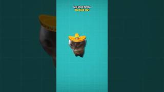 Adding Chipi Chapa Cat To My Game 😹