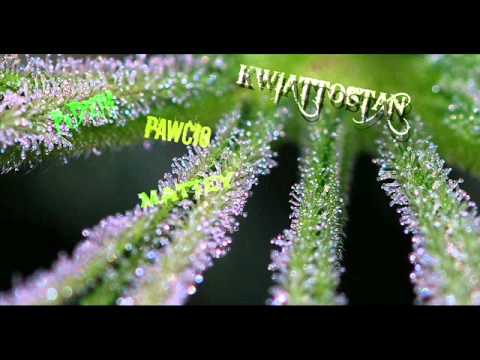 Pędzik x Pawcio x Mattey x KWIATOSTAN https://www.facebook.com/CDZsquad