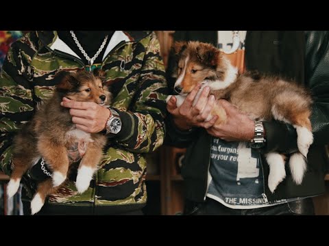 Lucho RK and La Pantera