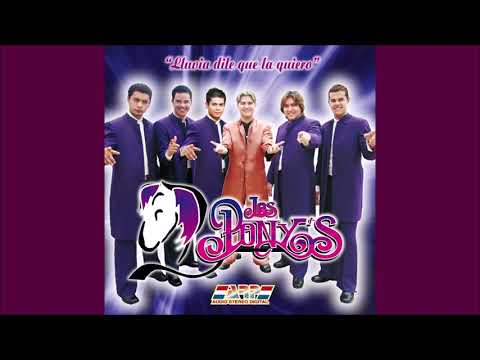 Los Pony´s  "Lluvia Dile Que La Quiero" Kachaka Nacional