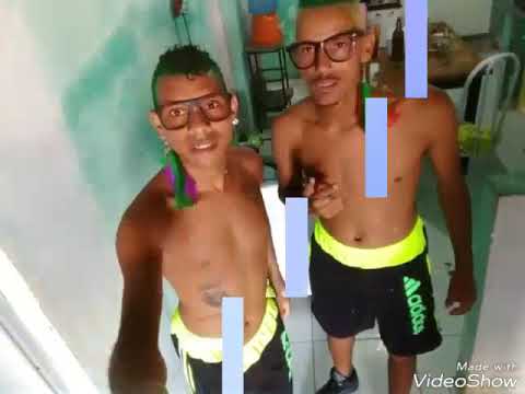 Metally e peixinho música