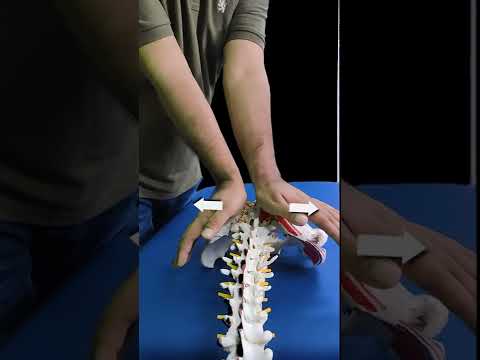 TMJ MOBILIZATION TECHNIQUES FOR JAW PAIN STIFFNESS SHORTS REELS