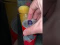 #redbull #luvxoo #fyp #relatable #didyouyawn #funny#trending #memes #viral