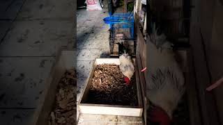 Download lagu MASA KECIL KURANG BAHAGIA #kocak #lucu #masakecilkurangbahagia #shorts mp3 Download lagu MASA KECIL KURANG BAHAGIA #kocak #lucu #masakecilkurangbahagia #shorts mp3