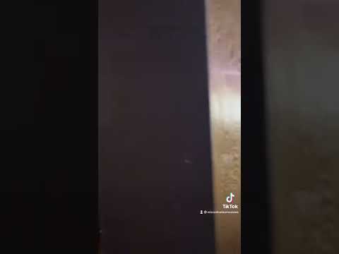 Corral Bar Video Review