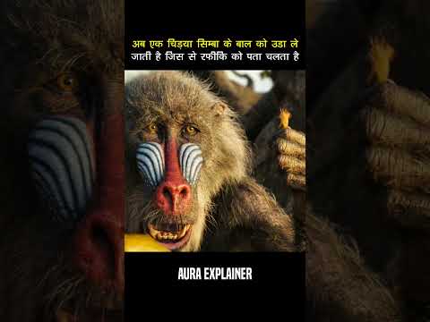 Now a bird takes away Simba's hair, which Rafiki finds out. #shorts