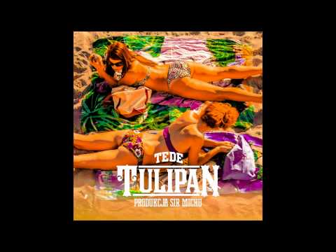 28. TEDE - TULIPAN (prod. Sir Mich) / ELLIMINATI 2013