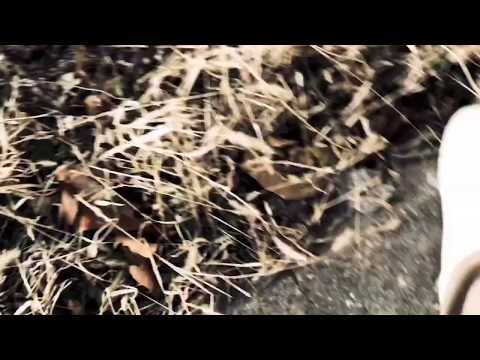 Moytanic - Nemesis (feat. Berniemaceleven) [MUSIC VIDEO]