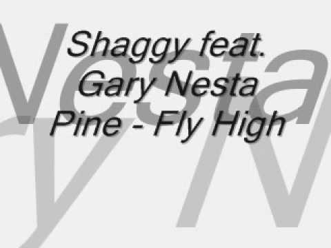 Shaggy feat. Gary Nesta Pine - Fly High