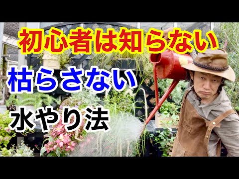 ガーデン家具メンテナンス 2022